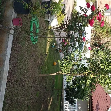 Apartment Fatbardha Tirana